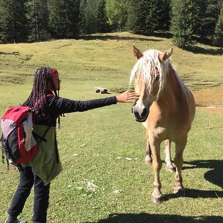Attico Vista Tofane Apartamento Cortina dʼAmpezzo